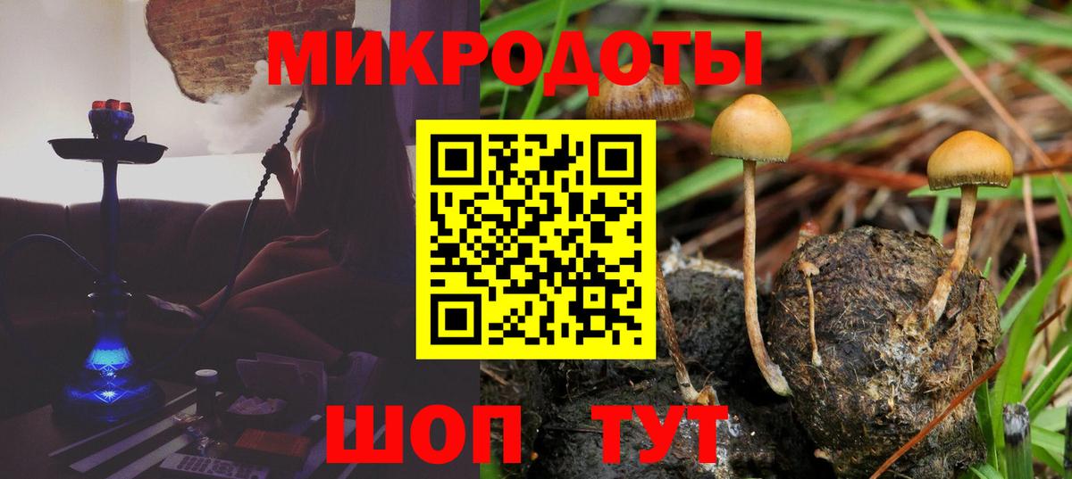 Псилоцибиновые грибы Psilocybine cubensis  Вход с VPN  Славгород  Псилоцибиновые грибы мицелий 